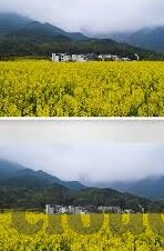 九游app旧版本-九游app旧版本，回忆与探索