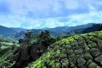 新浪旧版足球比分直播-重温经典，新浪旧版足球比分直播的黄金岁月